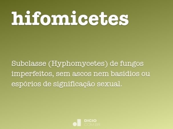 hifomicetes