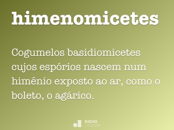 himenomicetes