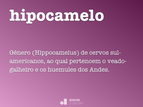 hipocamelo