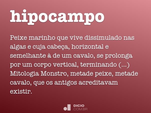 hipocampo