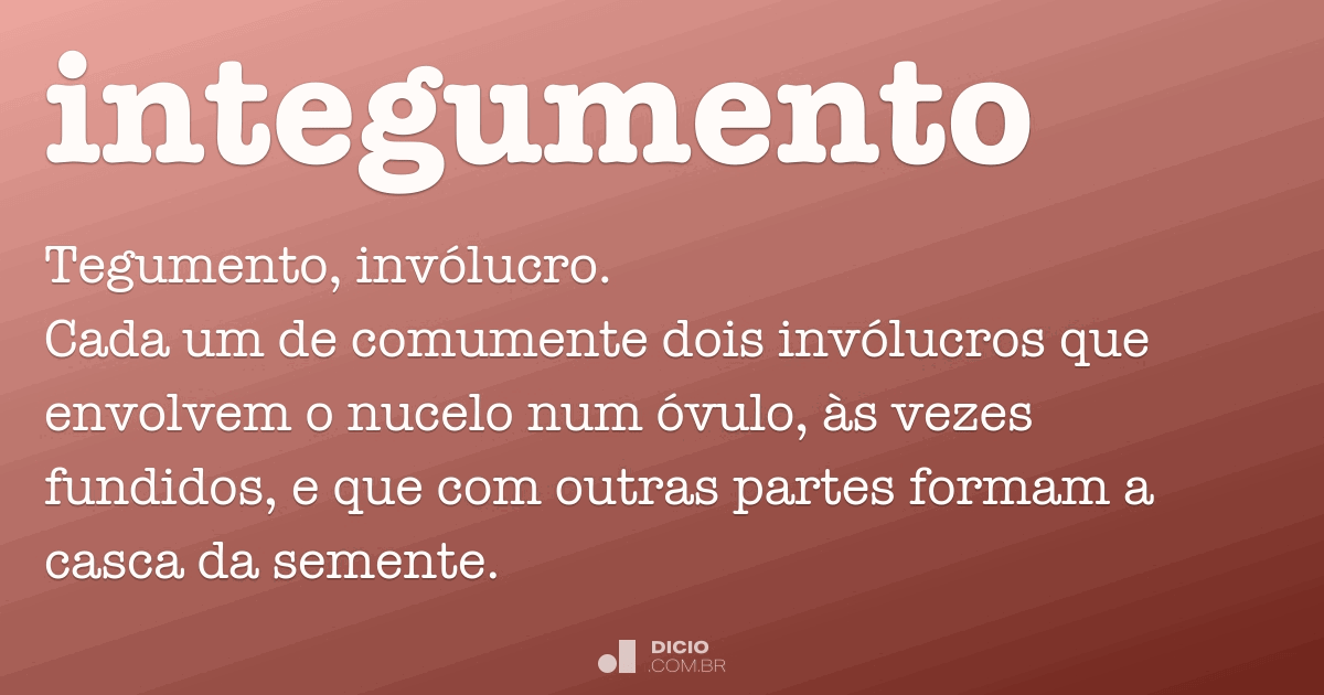integumento-dicio-dicion-rio-online-de-portugu-s