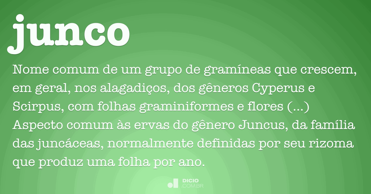 Substantivo comum o que é Substantivo comum o que é