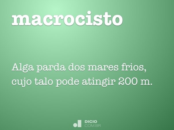 macrocisto