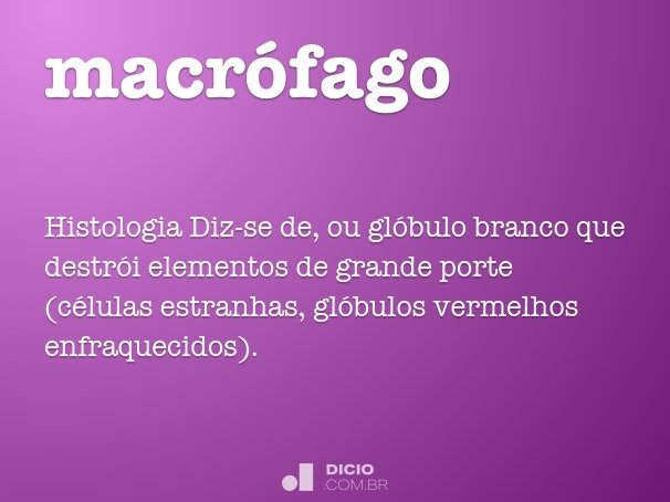 macrófago