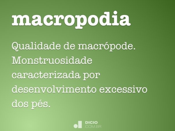 macropodia
