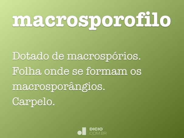 macrosporofilo