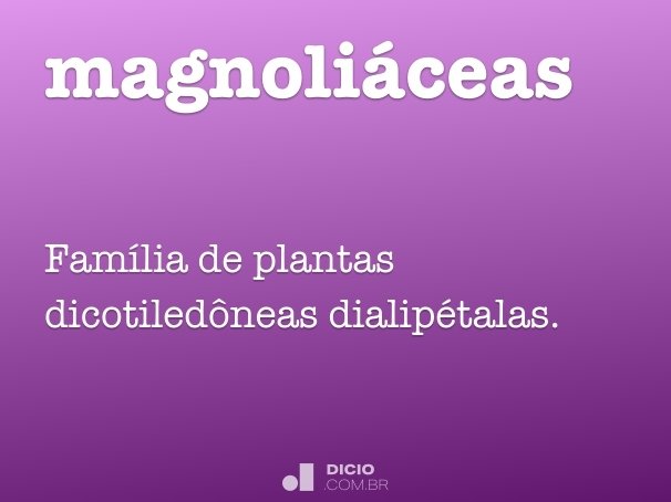 magnoliáceas