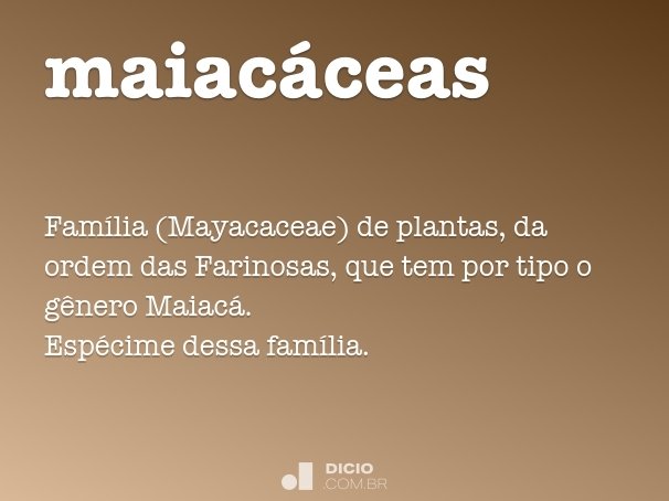 maiacáceas