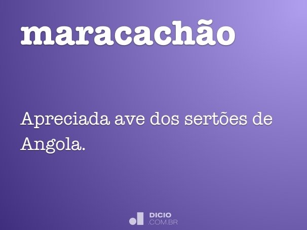 maracachão