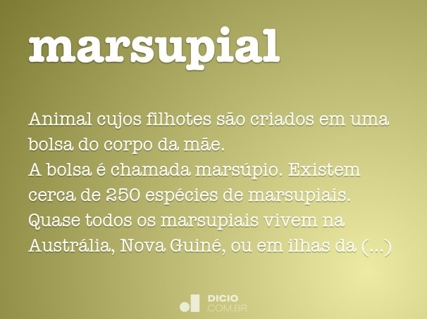 marsupial