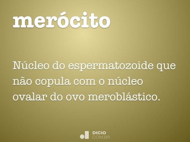 merócito