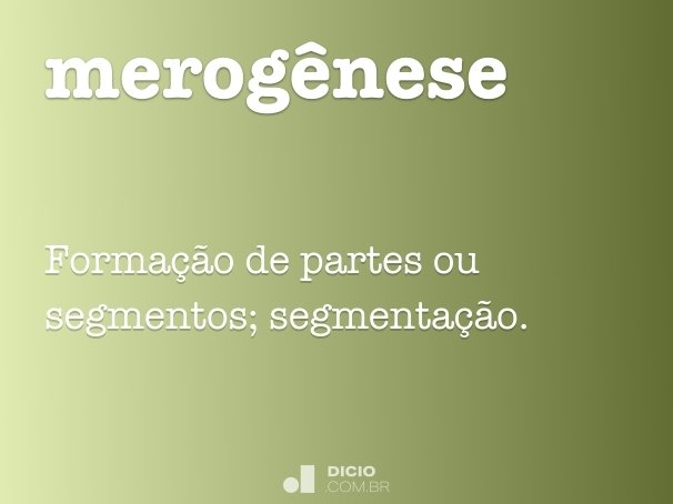 merogênese