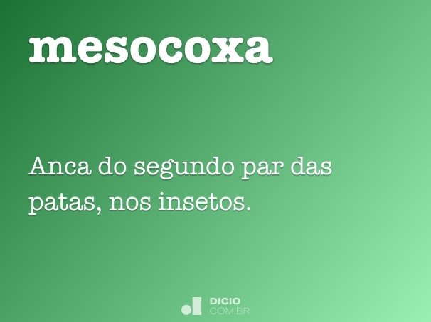 mesocoxa