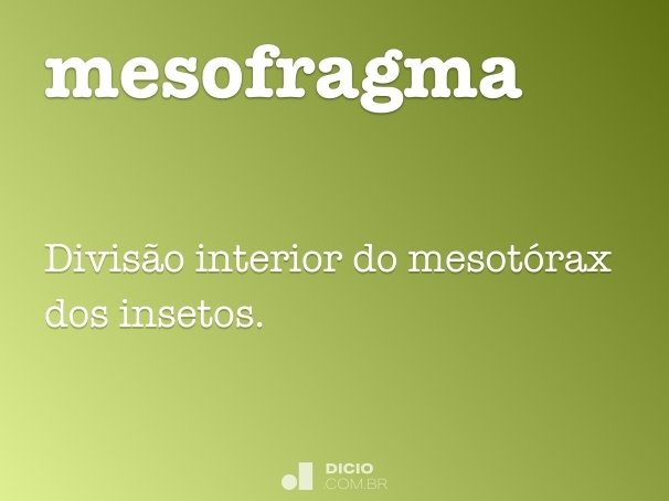 mesofragma