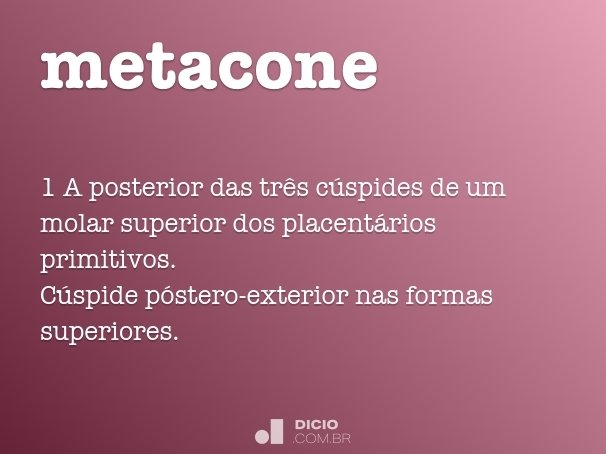 metacone