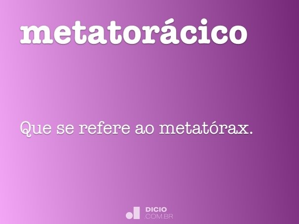 metatorácico