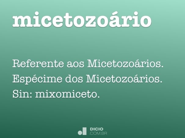 micetozoário
