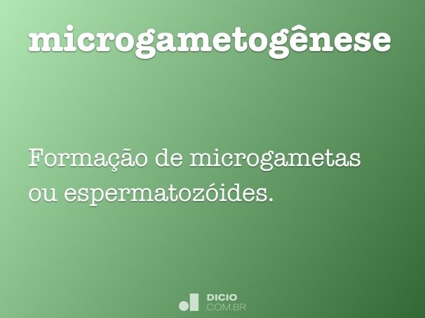 microgametogênese