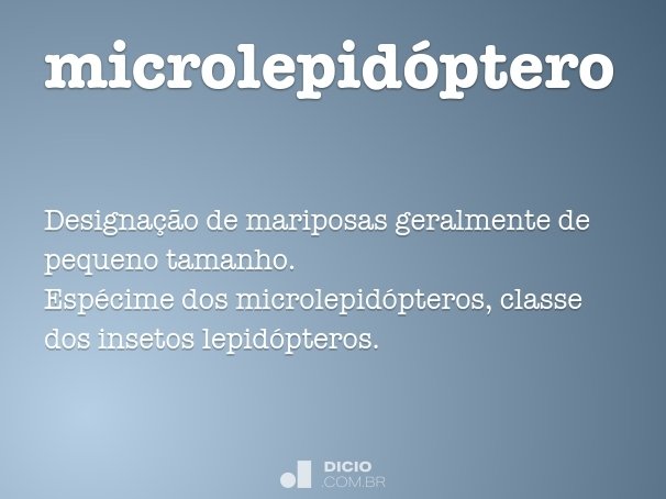 microlepidóptero