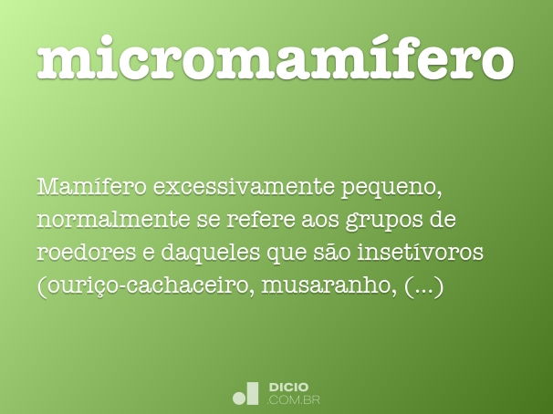 micromamífero