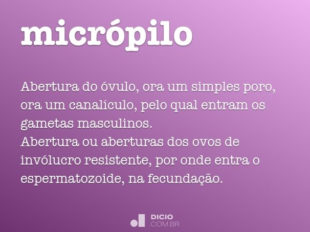 micrópilo