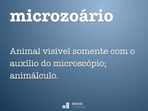 microzoário