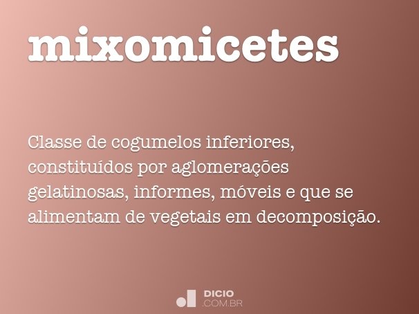 mixomicetes