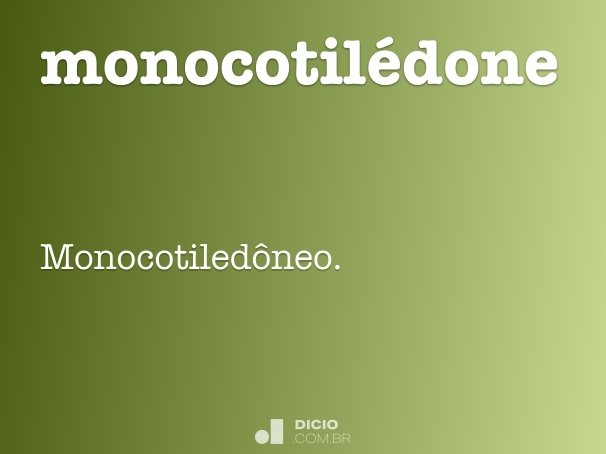 monocotilédone