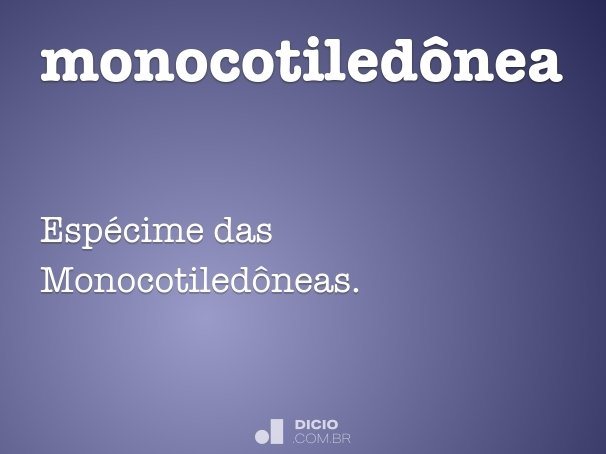 monocotiledônea