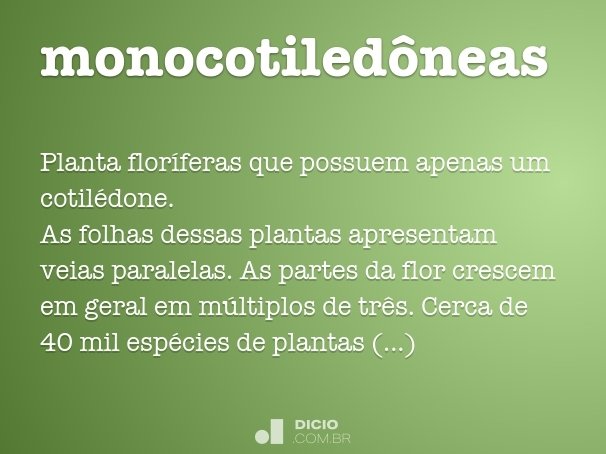 monocotiledôneas