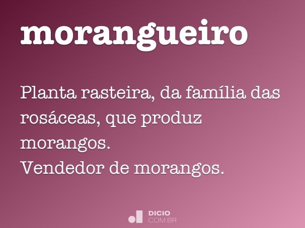 morangueiro