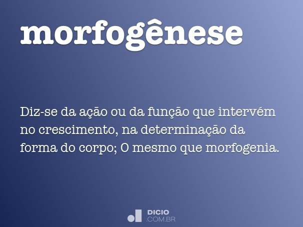 morfogênese