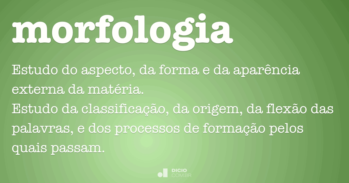 O Que é Morfologia