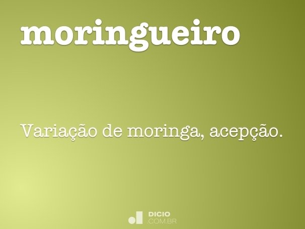 moringueiro
