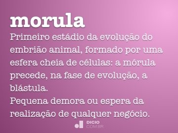 Mórula - Mórula