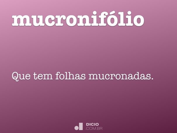 mucronifólio