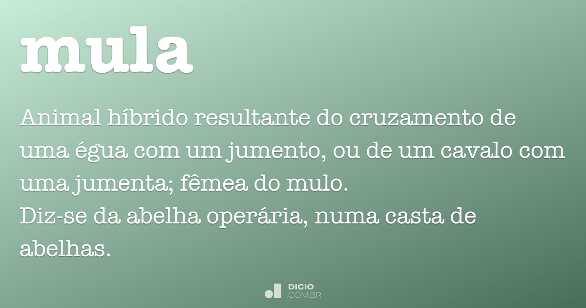 Potro - Dicio, Dicionário Online de Português