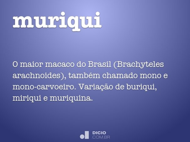 muriqui