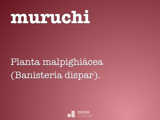 muruchi