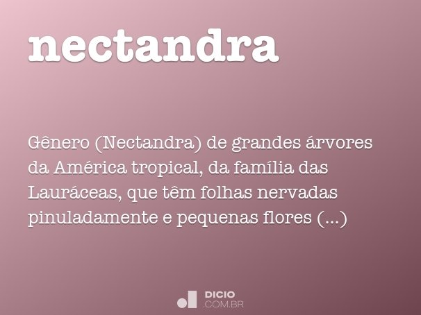 nectandra