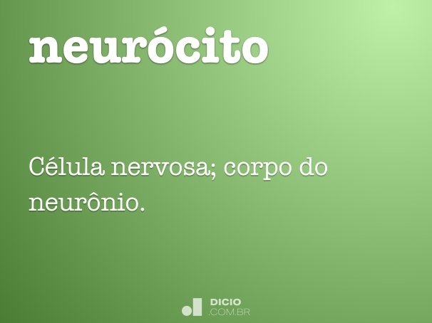 neurócito