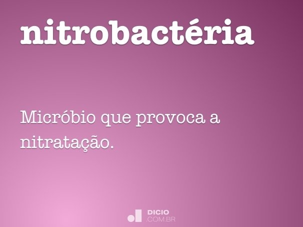 nitrobactéria