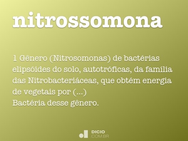nitrossomona