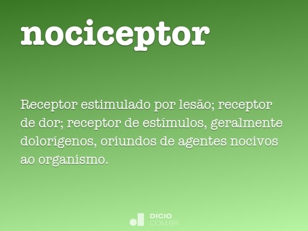 nociceptor