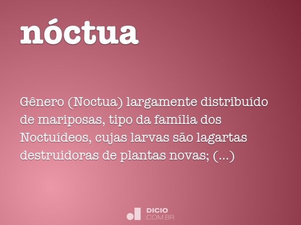 nóctua