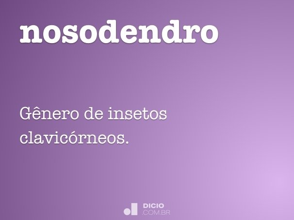 nosodendro