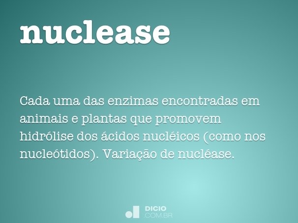 nuclease