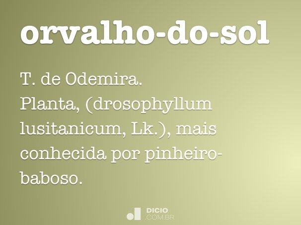 orvalho-do-sol