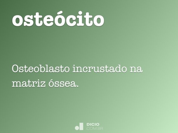 osteócito