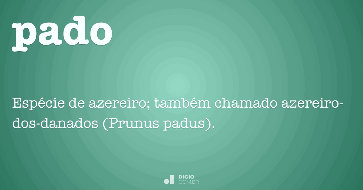 Pado Dicio, Dicionário Online de Português